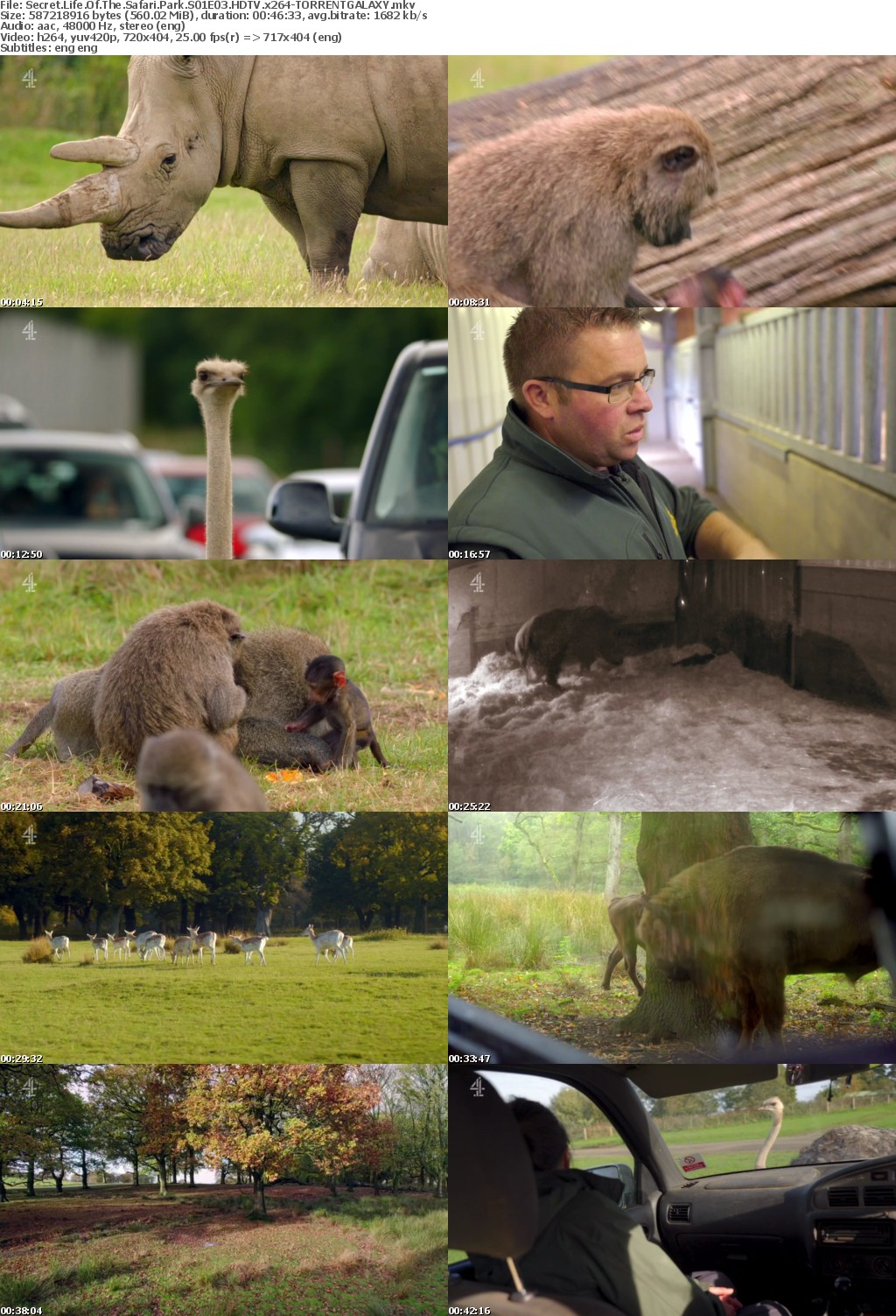 Secret Life Of The Safari Park S01E03 HDTV x264-GALAXY