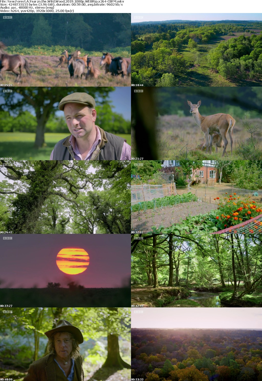 New Forest A Year in the Wild Wood 2019 1080p WEBRip x264-CBFM
