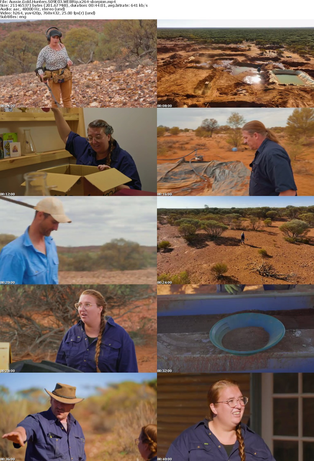 Aussie Gold Hunters S09E03 WEBRip x264-skorpion mp4