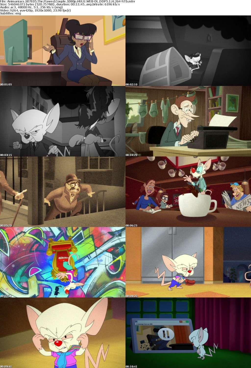 Animaniacs S07E05 The Flawed Couple 1080p HULU WEB-DL DDP5 1 H 264-NTb