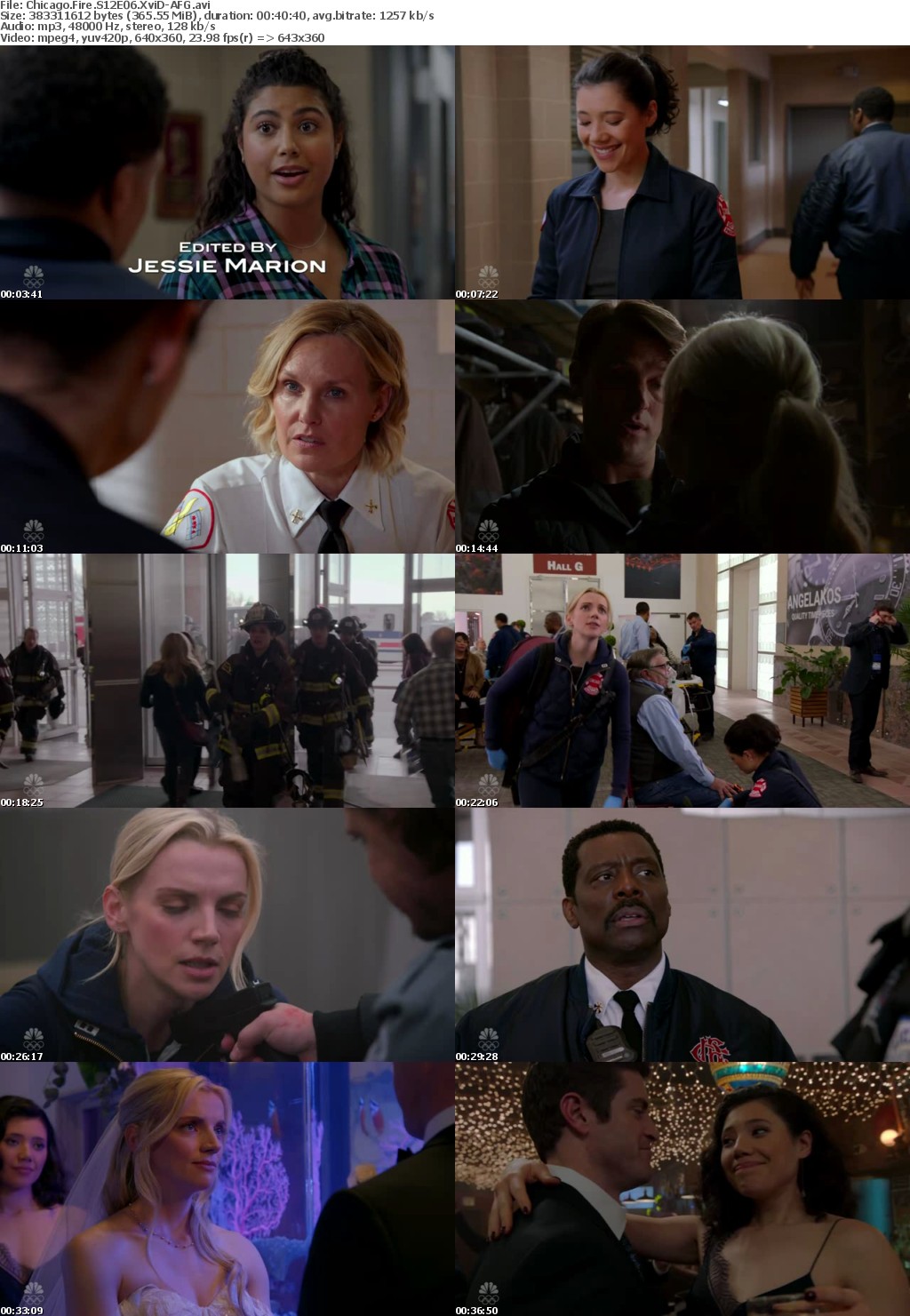 Chicago Fire S12E06 XviD-AFG