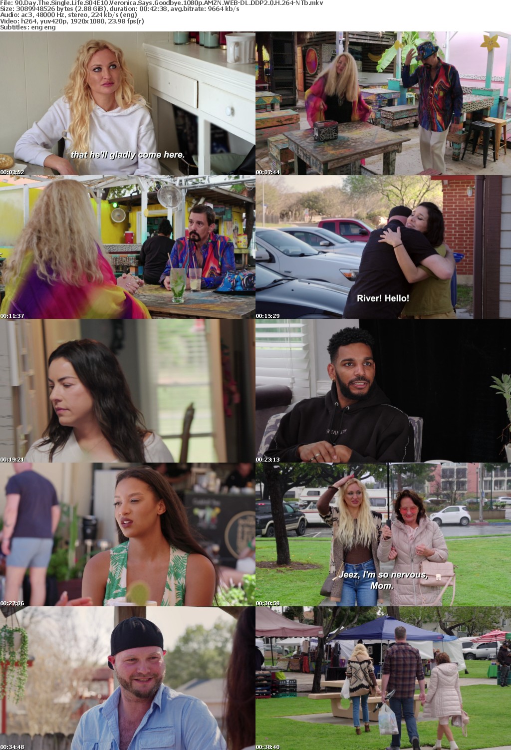 90 Day The Single Life S04E10 Veronica Says Goodbye 1080p AMZN WEB-DL DDP2 0 H 264-NTb