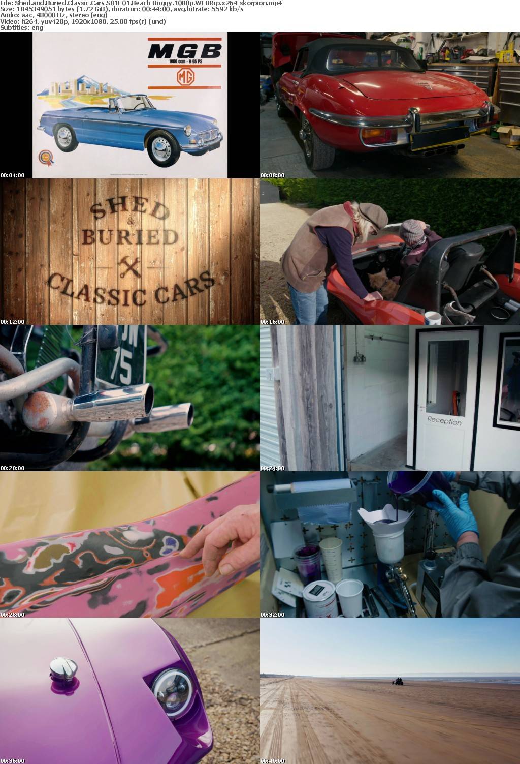 Shed and Buried Classic Cars S01E01 Beach Buggy 1080p WEBRip x264-skorpion mp4