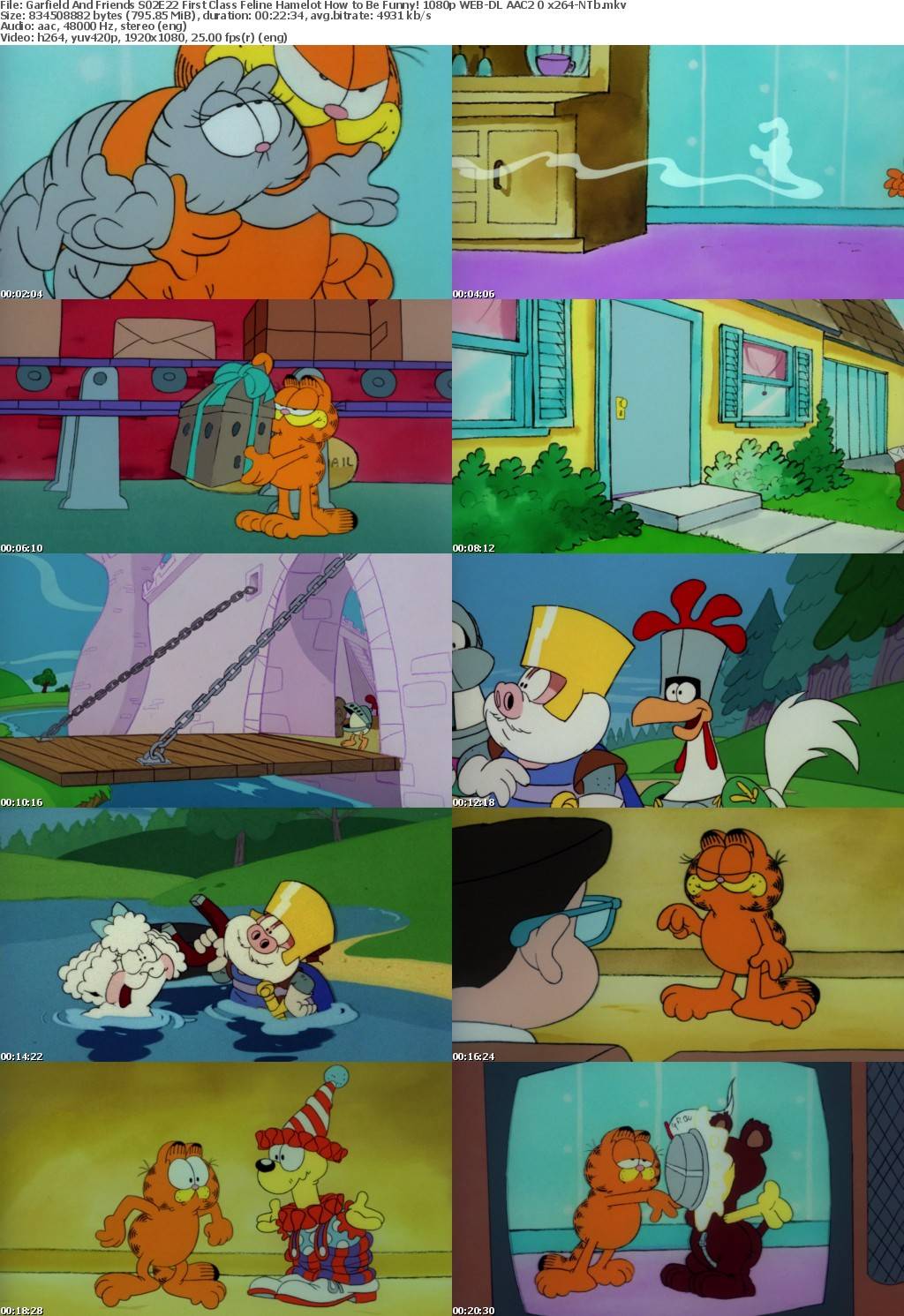 Garfield And Friends S02E22 First Class Feline Hamelot How to Be Funny! 1080p WEB-DL AAC2 0 x264-NTb