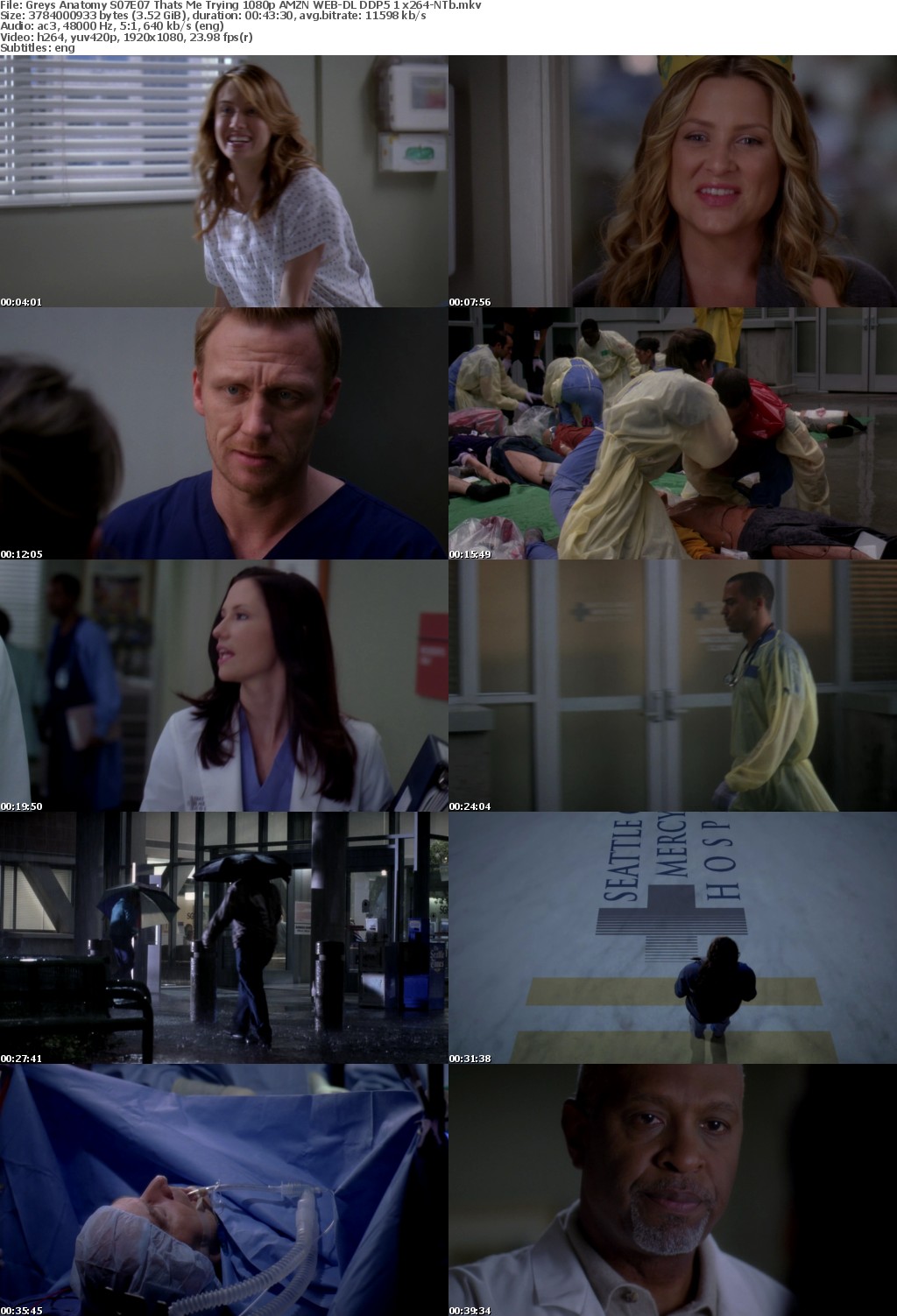 Greys Anatomy S07E07 Thats Me Trying 1080p AMZN WEB-DL DDP5 1 x264-NTb