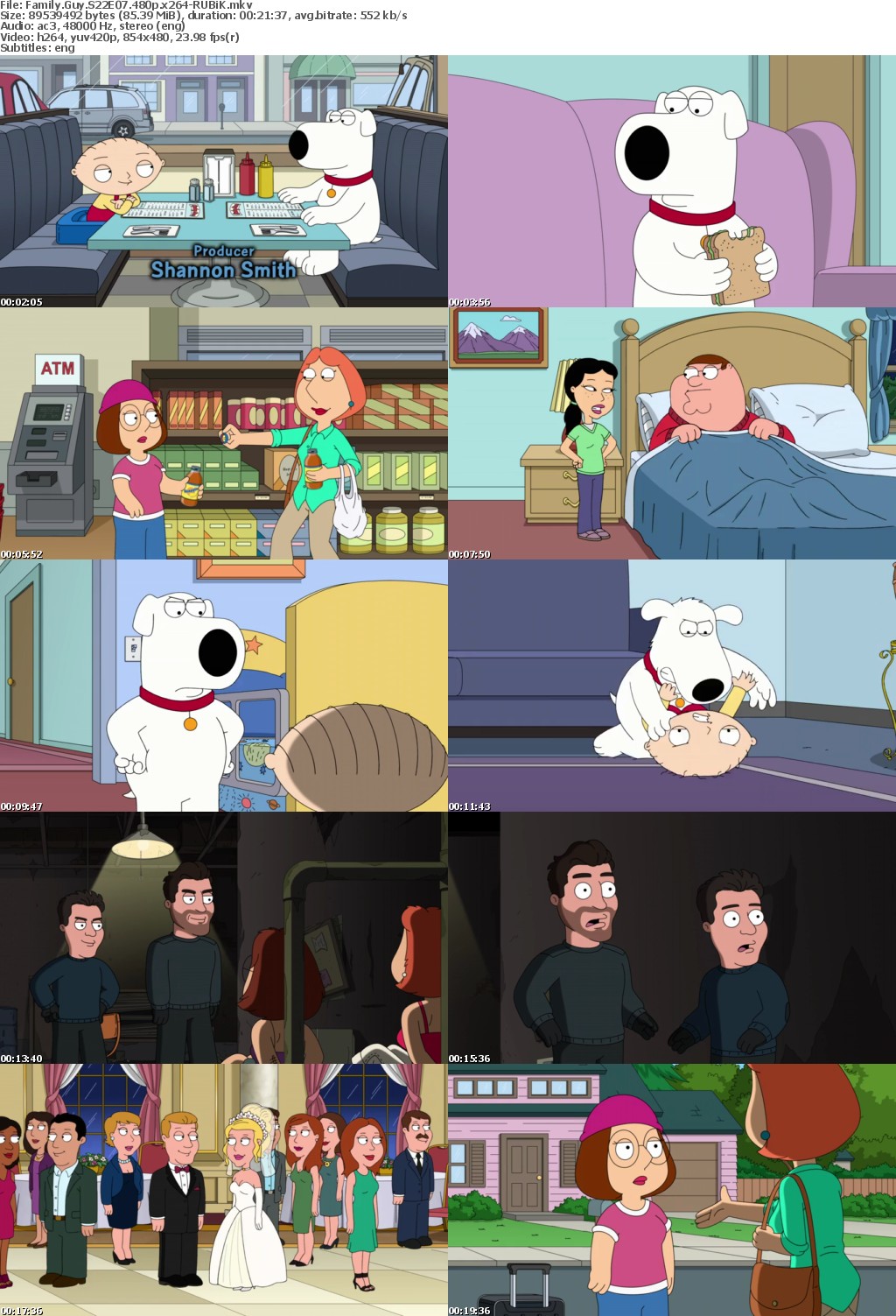 Family Guy S22 480p x264-RUBiK