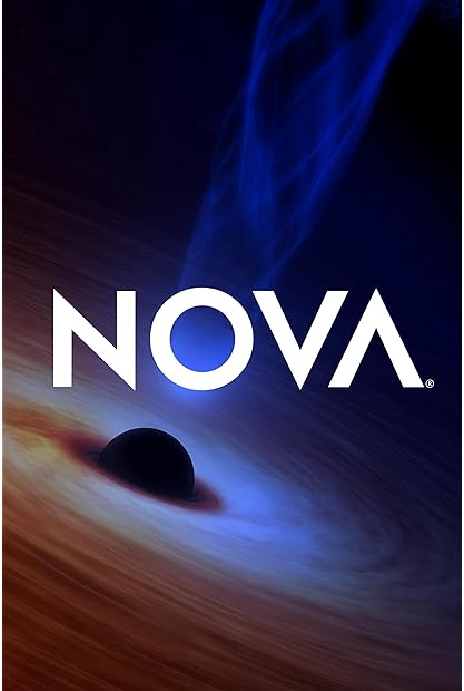 NOVA S51E07 Secrets in Your Data 720p x264-FENiX Saturn5