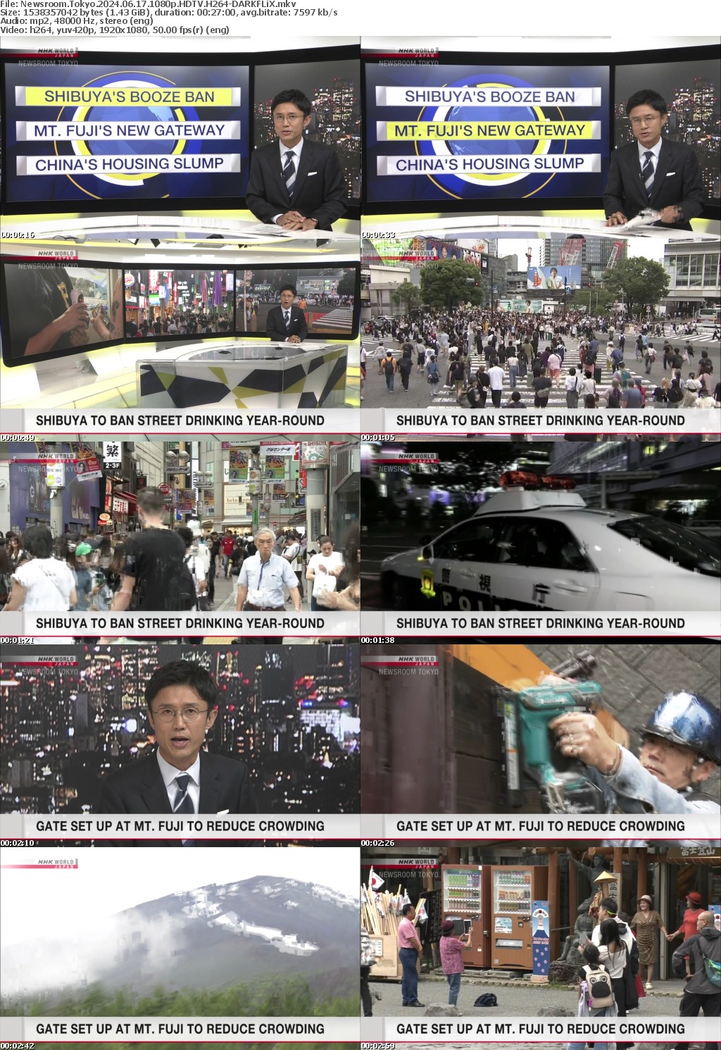Newsroom Tokyo 2024 06 17 1080p HDTV H264-DARKFLiX